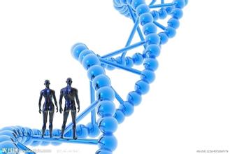 Nature爆炸新闻：人类基因组编辑引发科学界大动作