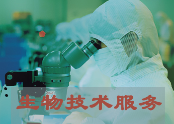 开运电竞
实验技术服务外包
