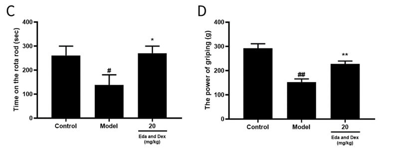 8-神经功能药效学考察-2.jpg 8-神经功能药效学考察-2.jpg