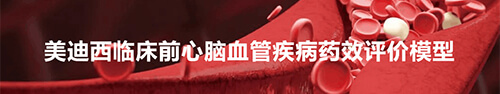 美迪西临床前心脑血管疾病模型.jpg 美迪西临床前心脑血管疾病模型.jpg