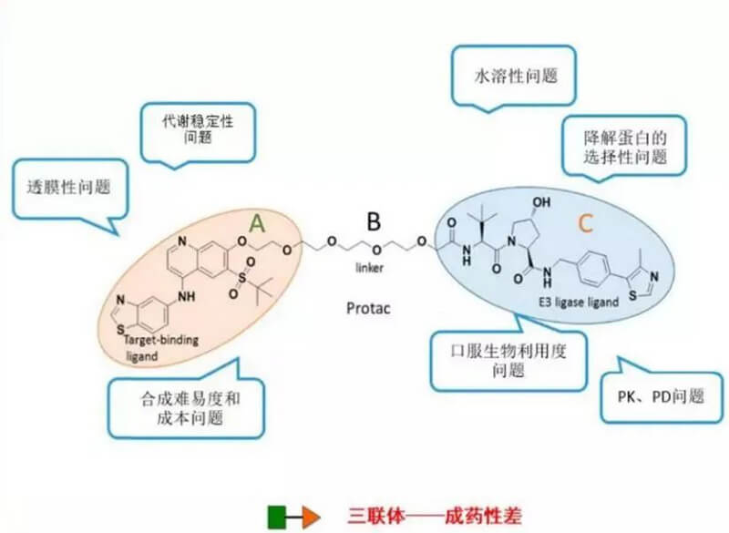 PROTAC分子量较大,溶解性较差.jpg PROTAC分子量较大,溶解性较差.jpg