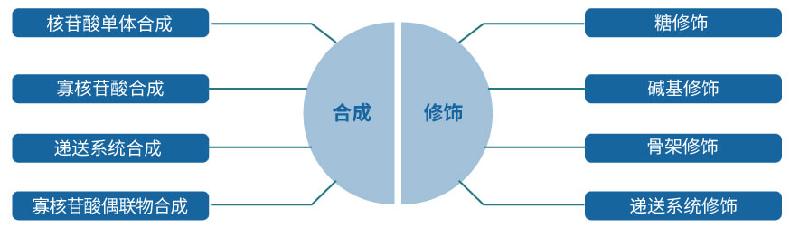 美迪西核酸药物研发服务平台.jpg 美迪西核酸药物研发服务平台.jpg