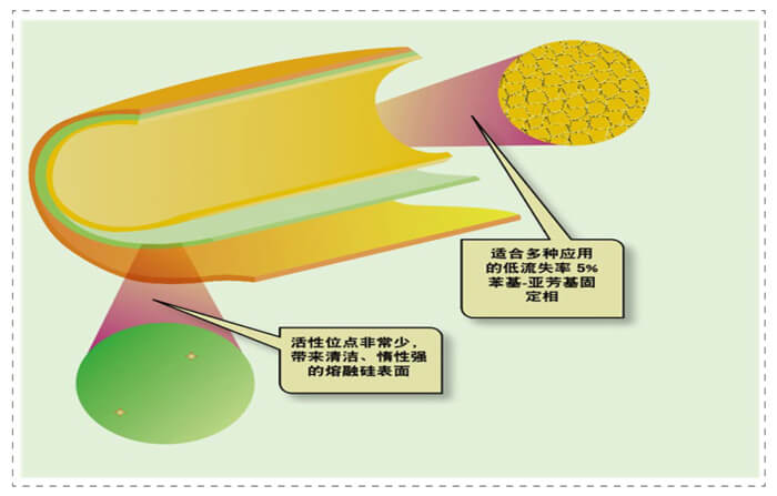 图3-管壁涂渍开口柱内表面未完全屏蔽的活性位点.jpg 图3-管壁涂渍开口柱内表面未完全屏蔽的活性位点.jpg