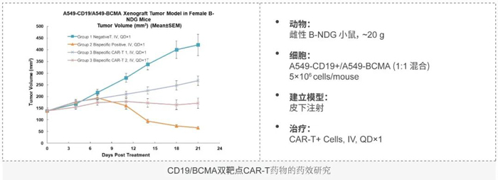CD19-BCMA双靶点CAR-T案例分享.jpg CD19-BCMA双靶点CAR-T案例分享.jpg