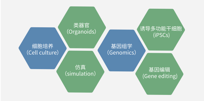 六大技术板块已上线,持续升级中.jpg 六大技术板块已上线,持续升级中.jpg