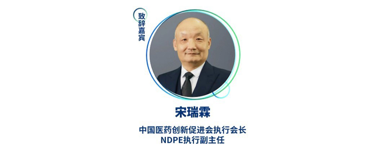 宋瑞霖--中国医药创新促进会执行会长、NDPE执行副主任.jpg 宋瑞霖--中国医药创新促进会执行会长、NDPE执行副主任.jpg