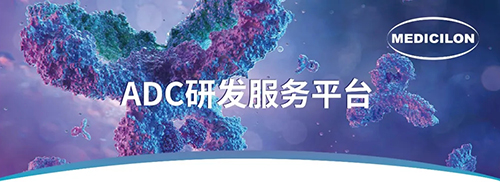 ADC临床前研究.jpg ADC临床前研究.jpg