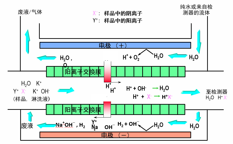 离子色谱电解抑制器的抑制原理.jpg 离子色谱电解抑制器的抑制原理.jpg