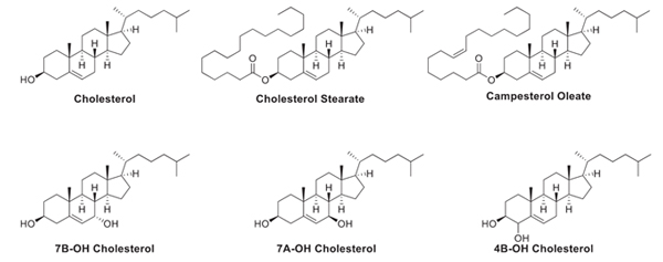 Cholesterol-series.jpg Cholesterol-series.jpg