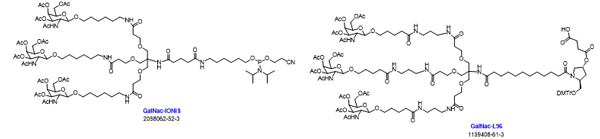 N-乙酰半乳糖胺(GalNAc)-合成-1.jpg N-乙酰半乳糖胺(GalNAc)-合成-1.jpg