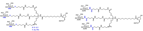 N-乙酰半乳糖胺(GalNAc)-合成-2.jpg N-乙酰半乳糖胺(GalNAc)-合成-2.jpg