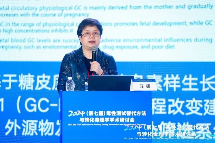 武汉大学汪晖教授作报告.jpg 武汉大学汪晖教授作报告.jpg