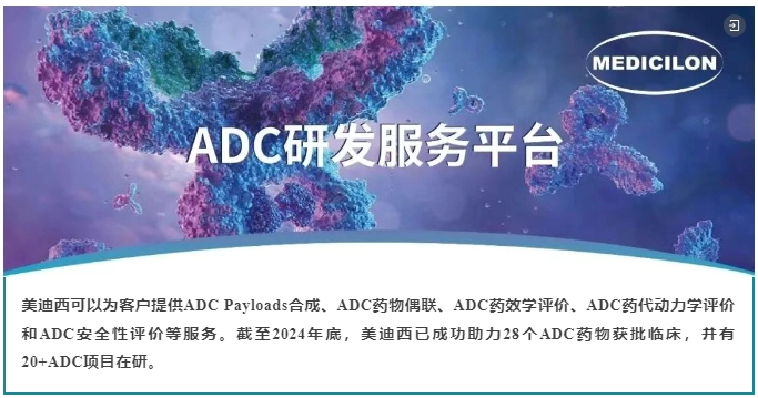 ADC药物研发服务平台.webp ADC药物研发服务平台.webp