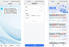 <b>心劣势：全行业/全地区笼盖、数据核验严酷、虚</b>
